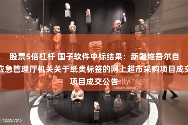 股票5倍杠杆 国子软件中标结果：新疆维吾尔自治区应急管理厅机关关于纸类标签的网上超市采购项目成交公告