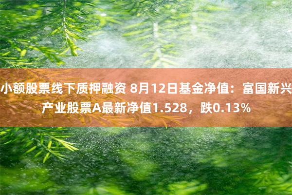 小额股票线下质押融资 8月12日基金净值：富国新兴产业股票A最新净值1.528，跌0.13%