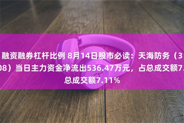 融资融券杠杆比例 8月14日股市必读：天海防务（300008）当日主力资金净流出536.47万元，占总成交额7.11%