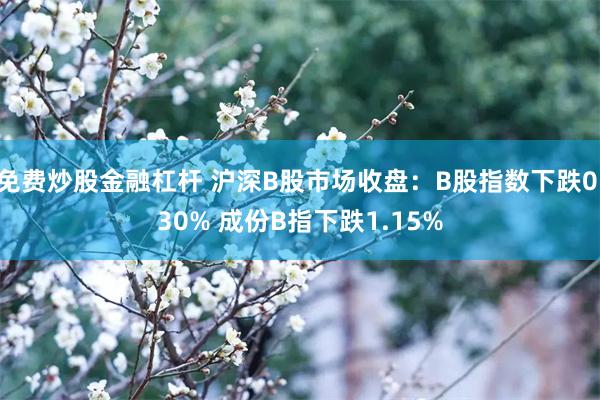 免费炒股金融杠杆 沪深B股市场收盘：B股指数下跌0.30% 成份B指下跌1.15%