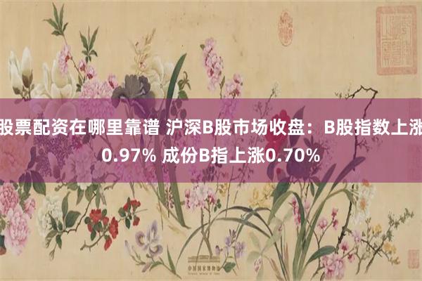 股票配资在哪里靠谱 沪深B股市场收盘：B股指数上涨0.97% 成份B指上涨0.70%