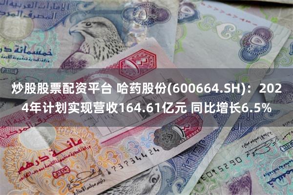 炒股股票配资平台 哈药股份(600664.SH)：2024年计划实现营收164.61亿元 同比增长6.5%