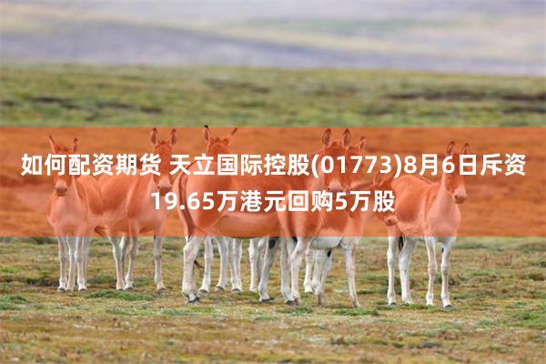 如何配资期货 天立国际控股(01773)8月6日斥资19.65万港元回购5万股