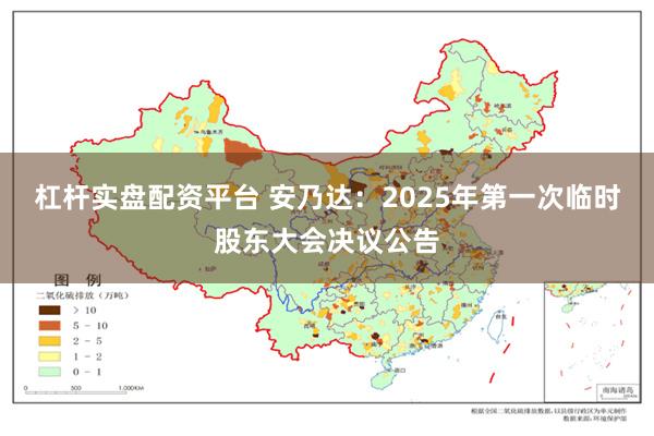 杠杆实盘配资平台 安乃达：2025年第一次临时股东大会决议公告