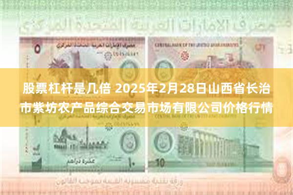 股票杠杆是几倍 2025年2月28日山西省长治市紫坊农产品综合交易市场有限公司价格行情