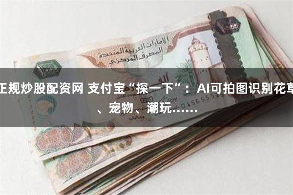 正规炒股配资网 支付宝“探一下”：AI可拍图识别花草、宠物、潮玩......